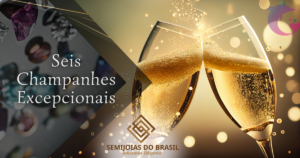 Seis Champanhes Excepcionais​